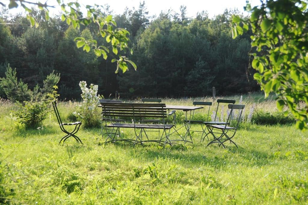 Romantisches Studio Am Waldesrand Mit Gartensauna Schwarz  Dış mekan fotoğraf